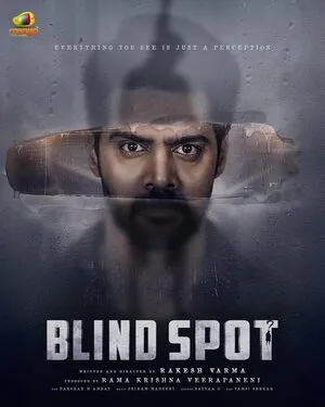 Blind Spot 2025 Dual Audio WEB-DL | Dubbed Hindi Movie