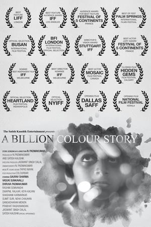 A Billion Colour Story 2016 Movie | Dubbed Hindi Movie HDRip - [330MB]