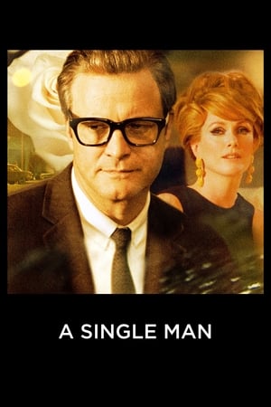 A Single Man 2009 Dual Audio | Dubbed Hindi Movie BluRay [750MB] ESubs
