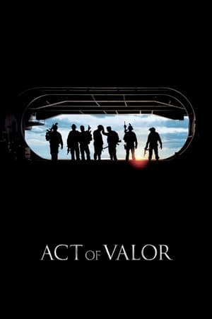 Act of Valor (2012) Dual Audio | Dubbed Hindi Movie BluRay 390MB