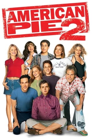American Pie 2 (2001) Dual Audio | Dubbed Hindi Movie BluRay 375MB