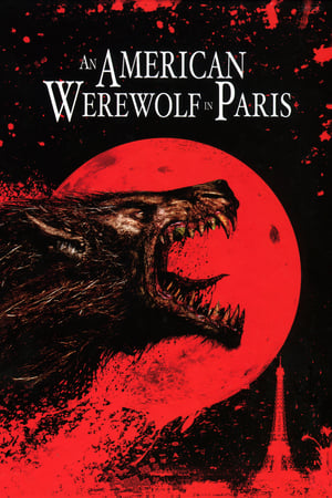 An American Werewolf in Paris 1997 Dual Audio | Dubbed Hindi Movie BluRay 300MB
