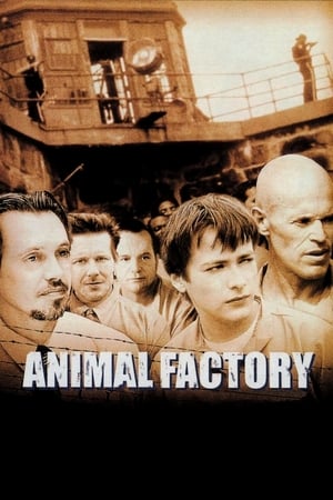 Animal Factory (2000) Dual Audio | Dubbed Hindi Movie BluRay [950MB]