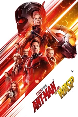 Ant-Man and the Wasp 2018 Movie (English) | Dubbed Hindi Movie HDCAM [300MB]