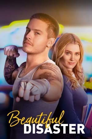 Beautiful Disaster 2023 Dual Audio HDRip | Dubbed Hindi Movie – 480p