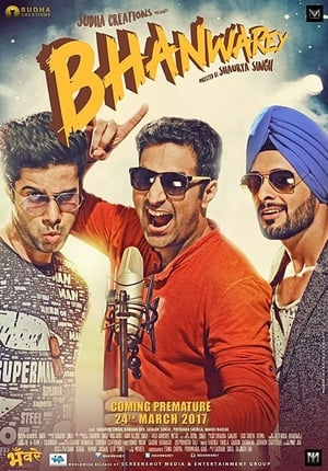 Bhanwarey 2017 Movie | Dubbed Hindi Movie DVDRip x264 [850MB]