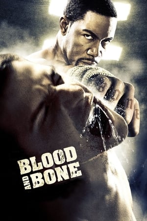 Blood and Bone (2009) Dual Audio | Dubbed Hindi Movie BluRay 300MB
