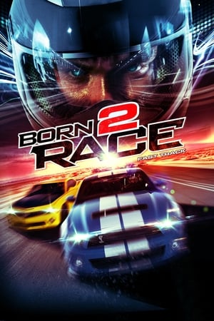 Born to Race Fast Track 2014 Dual Audio | Dubbed Hindi Movie BluRay 320MB