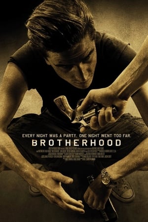 Brotherhood (2010) Dual Audio HDRip | Dubbed Hindi Movie – 480p