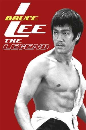 Bruce Lee the Legend 1984 Dual Audio | Dubbed Hindi Movie HDTVRip 300MB