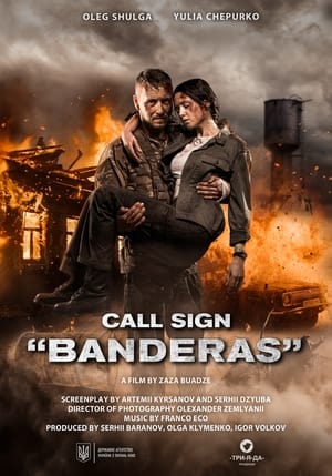 Call Sign Banderas (2018) Dual Audio HDRip | Dubbed Hindi Movie – 480p