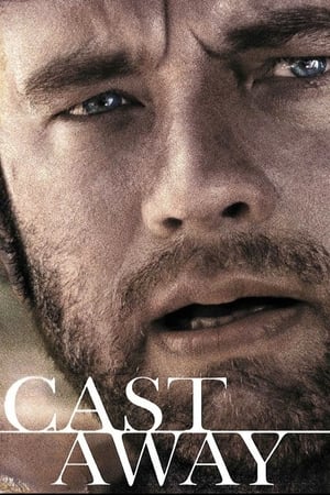 Cast Away 2000 Dual Audio | Dubbed Hindi Movie BluRay 450MB