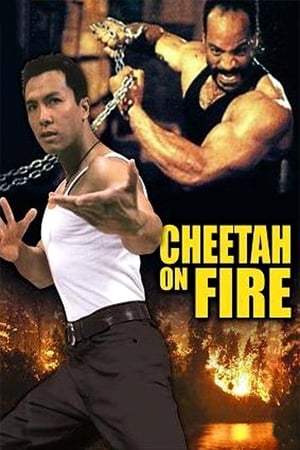 Cheetah on Fire 1992 Dual Audio | Dubbed Hindi Movie Web-DL [900MB]