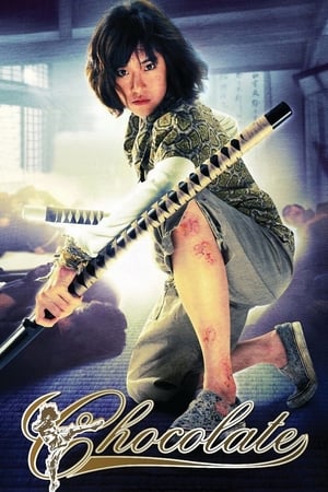Chocolate (2008) Dual Audio | Dubbed Hindi Movie BluRay [830MB]