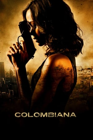 Colombiana (2011) Dual Audio | Dubbed Hindi Movie BluRay 350MB