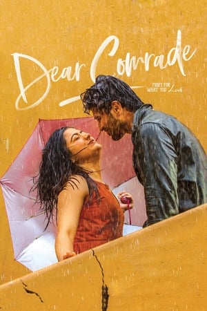 Dear Comrade 2019 ( -Telugu) Dual Audio | Dubbed Hindi Movie UnCut HDRip [1.4GB]