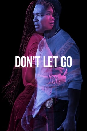 Don’t Let Go (2019) Dual Audio | Dubbed Hindi Movie HDRip [890MB]