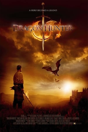 Dragon Hunter (2009) Dual Audio | Dubbed Hindi Movie BluRay 300MB