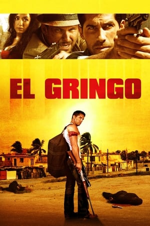 El Gringo (2012) Dual Audio | Dubbed Hindi Movie HDRip [900MB]