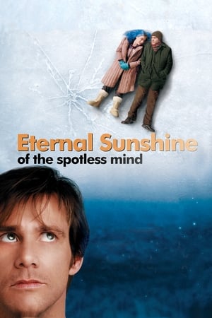 Eternal Sunshine Of The Spotless Mind 2004 Dual Audio | Dubbed Hindi Movie BluRay [780MB]