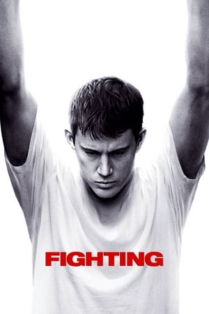 Fighting (2009) 100mb Dual Audio Hevc BRRip Download