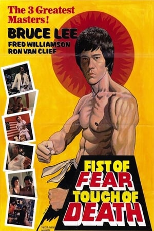 Fist of Fear Touch of Death 1980 Dual Audio | Dubbed Hindi Movie DVDRip [1GB]