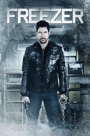 Freezer (2014) Dual Audio | Dubbed Hindi Movie BluRay [800MB]