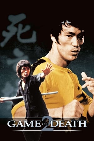 Game of Death II (1981) Dual Audio | Dubbed Hindi Movie BluRay 300MB