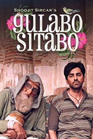 Gulabo Sitabo 2020 Movie | Dubbed Hindi Movie HDRip - [360MB]