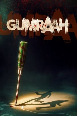 Gumraah 2023 Web-DL | Dubbed Hindi Movie | 480p