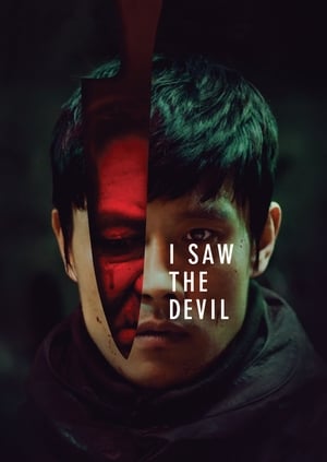 I Saw the Devil 2010 Dual Audio HDRip | Dubbed Hindi Movie – 480p