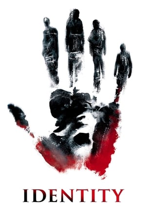 Identity 2003 Dual Audio | Dubbed Hindi Movie BluRay [700MB]