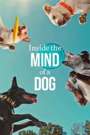 Inside the Mind of a Dog 2024 Dual Audio HDRip | Dubbed Hindi Movie – 720p – 480p