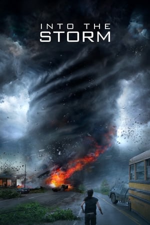 Into the Storm (2014) Dual Audio | Dubbed Hindi Movie BluRay [1GB]