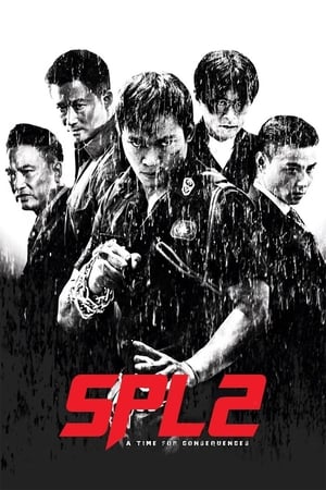 Kill Zone 2 (2015) Dual Audio | Dubbed Hindi Movie BluRay 400MB