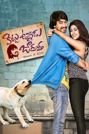 Kittu Unnadu Jagratha 2017 Dual Audio | Dubbed Hindi Movie UnCut HDRip 400MB