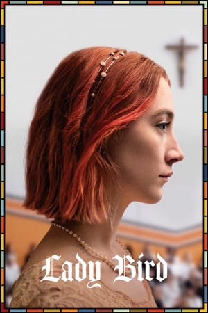 Lady Bird 2017 Dual Audio | Dubbed Hindi Movie BluRay 300MB