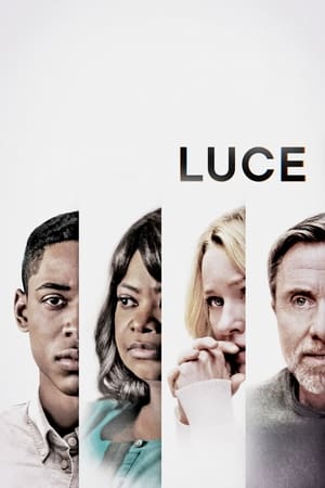 Luce 2019 Dual Audio | Dubbed Hindi Movie Web-DL 340MB