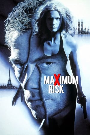 Maximum Risk (1996) Dual Audio | Dubbed Hindi Movie BluRay 330MB
