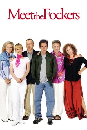 Meet the Fockers 2004 Dual Audio | Dubbed Hindi Movie BluRay [1GB]
