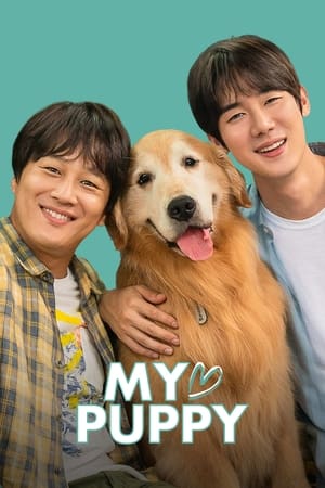 My love puppy (2022) Dual Audio HDRip | Dubbed Hindi Movie – 480p