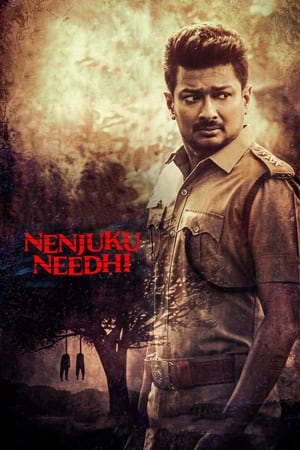Nenjuku Needhi 2022 (HQ-Dub) HDRip | Dubbed Hindi Movie – 480p