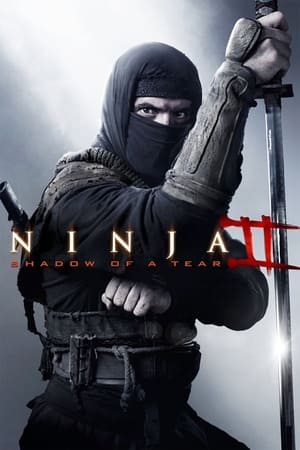 Ninja Shadow of a Tear 2013 Dual Audio | Dubbed Hindi Movie BluRay [800MB]