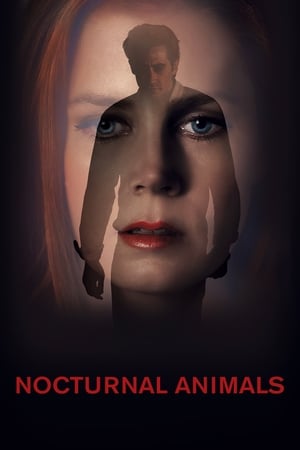 Nocturnal Animals (2016) Dual Audio | Dubbed Hindi Movie BluRay 380MB