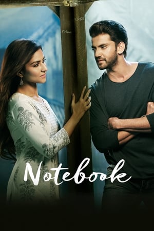 Notebook (2019) Movie | Dubbed Hindi Movie HDRip - [400MB]