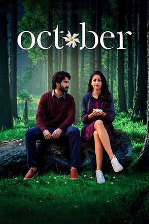 October (2018) Movie | Dubbed Hindi Movie BluRay x264 [900MB]
