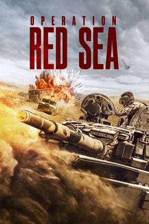Operation Red Sea (2018) Dual Audio | Dubbed Hindi Movie BluRay [1.3GB]