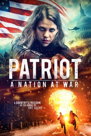 Patriot A Nation at War 2020 Dual Audio | Dubbed Hindi Movie Web-DL 300MB