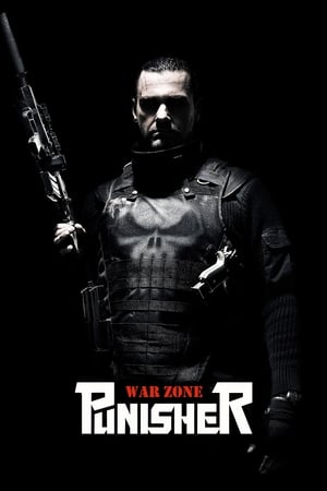 Punisher: War Zone (2008) Dual Audio | Dubbed Hindi Movie BluRay 340MB