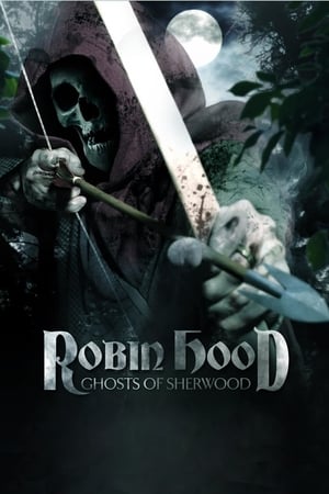 Robin Hood: Ghosts of Sherwood (2012) Dual Audio | Dubbed Hindi Movie BluRay [1GB]